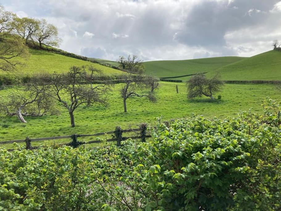 Charming Countryside Cottage Ground Floor Apartment In Combeinteignhead Devon Bishopsteignton ภายนอก รูปภาพ