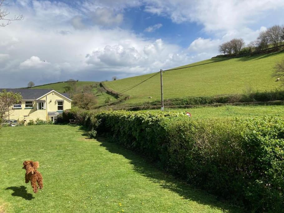 Charming Countryside Cottage Ground Floor Apartment In Combeinteignhead Devon Bishopsteignton ภายนอก รูปภาพ